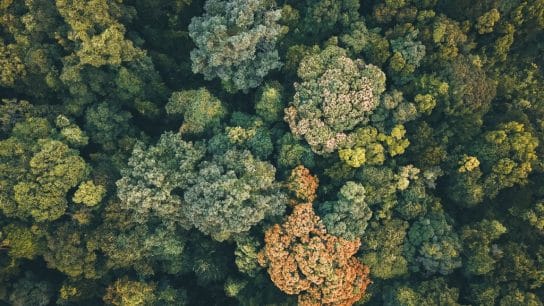 Where the Climate Discourse Has Gone Wrong