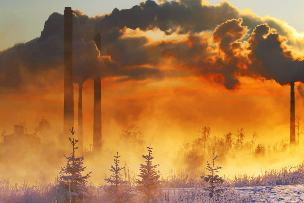 Why We Should Care About Environmental Health