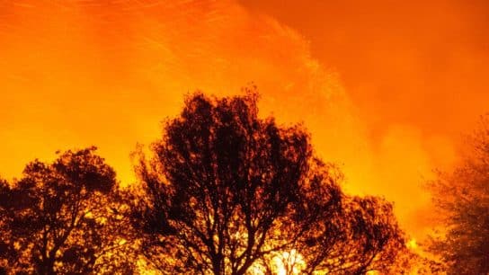 The Evolution of Wildfires Mitigation in North America