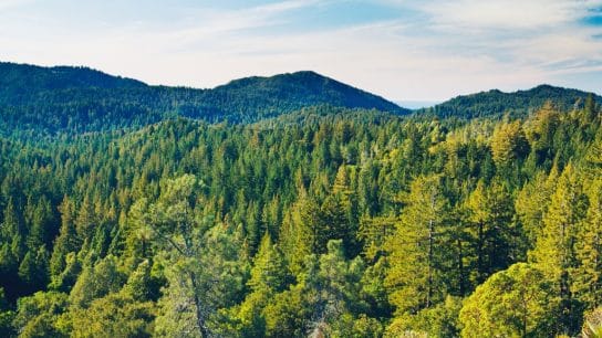 This Earth Day, We Mustn’t Forget the Nutrient Young People Are Deficient In – Vitamin N