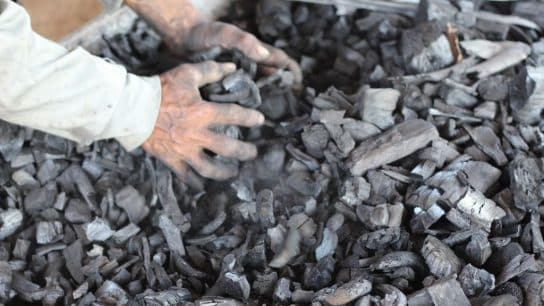 Biochar Technology and Its Varied Applications: Insights from the Biochar Academy
