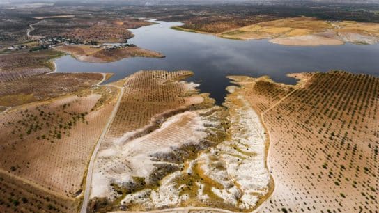 Desertification in China: Causes, Impacts, and Solutions