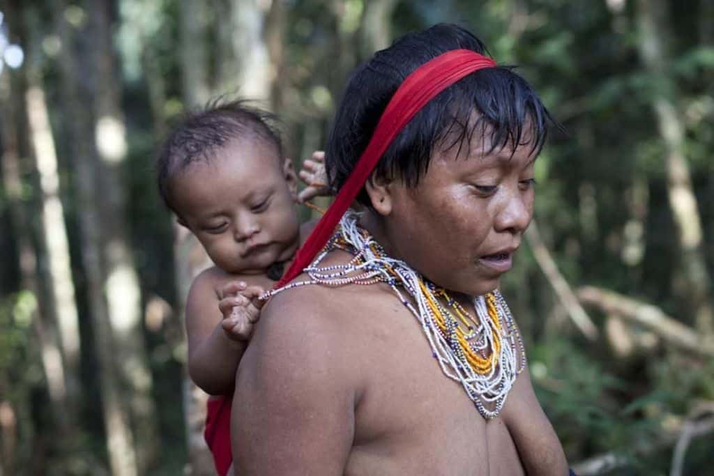 Nearly 200 Land and Environmental Defenders Killed in 2023, Mostly in Latin America, Global Witness Report Reveals