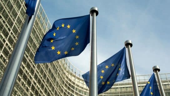The EU’s Game-Changing Law to Fight Global Deforestation
