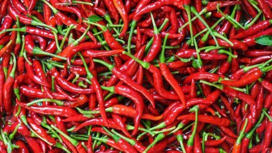 Climate Change in Mexico Is Causing a Sriracha Shortage