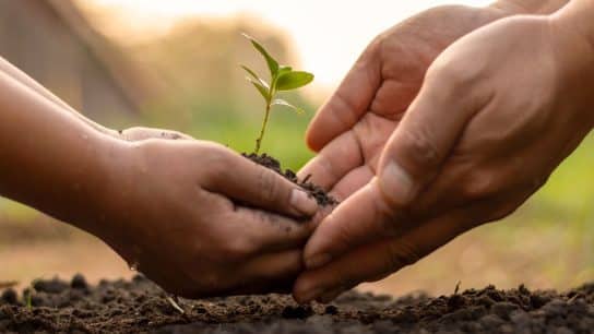 Traditional vs. Scientific Knowledge in Conservation Science: Is One Better than the Other?