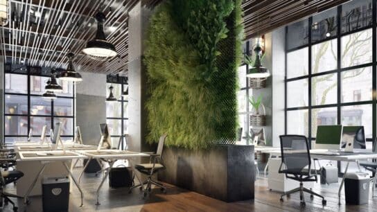 How to Create a More Sustainable Workplace