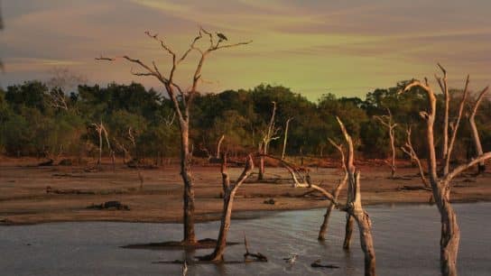 Depleted Aquifers: Causes, Effects, and Solutions