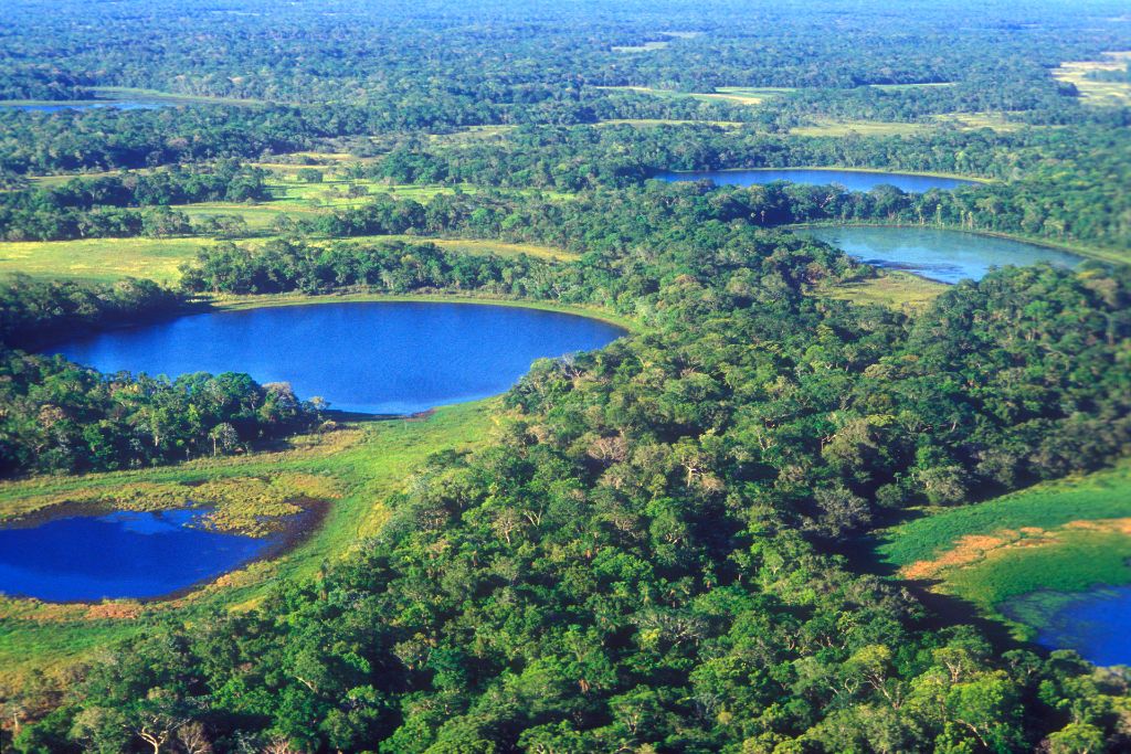 Wetlands Need a New Flagship Species. Here’s Why