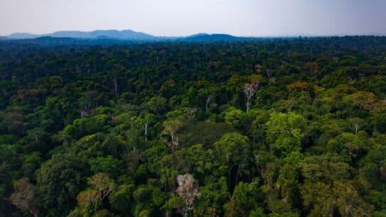 How Indigenous Communities Are Falling Victim to Carbon Piracy