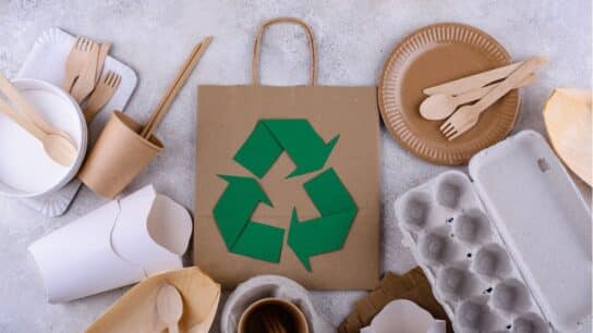 The Comeback of Biomaterials: A Sustainable Alternative to Conventional Plastics