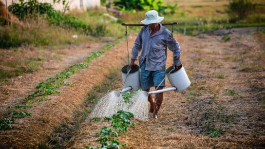 Food Systems, Hunger, and Poverty: The Vision for Global Change