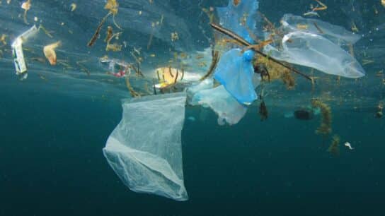 How Did the Philippines Become the World’s Biggest Ocean Plastic Polluter?
