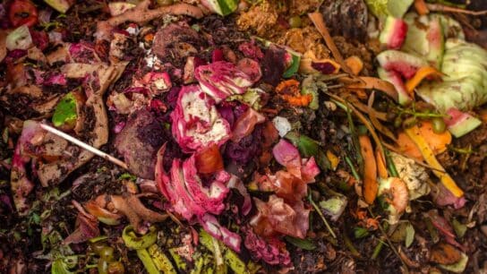 Solving the Problem of Food Loss with Maths