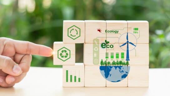 Why The Circular Economy Could Be The Answer To Tackling Biodiversity Loss
