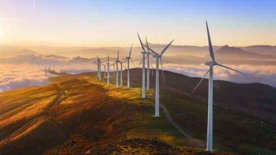 Why the World Needs a Free Trade Agreement on Green Goods and Services