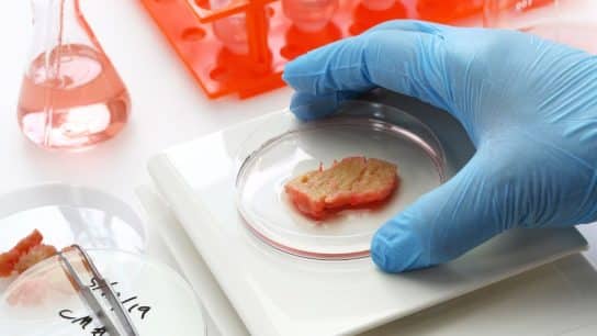 Explainer: What Is Cellular Agriculture And How It Can Help Reduce the Sector’s Carbon Footprint?