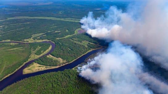 ‘Emergency Mode For the Environment’: What We Lost In 2022