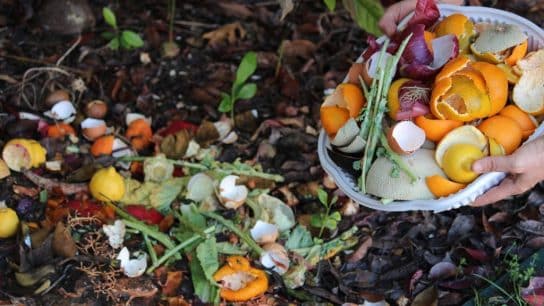 Can Economic Incentives Increase Composting Rates and Reduce Food Waste?