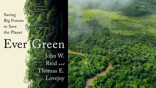 Review – ‘Ever Green: Saving Big Forests to Save the Planet’ By John W. Reid and Thomas E. Lovejoy