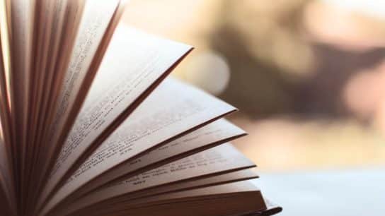 Can a Story Change the Climate?