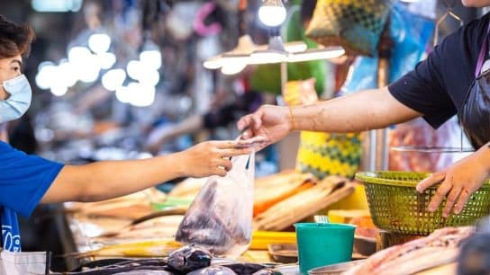 Poorly Regulated Animal Industries Pose Active Next Pandemic Threat