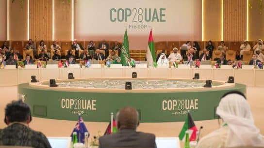 What Can We Expect From COP28, And What Must Happen?