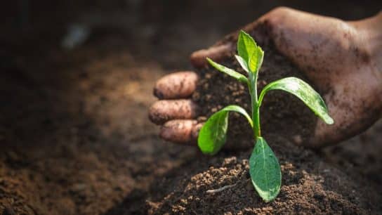 Traditional Education Is Failing Us. Here’s What We Need for a Sustainable Planet