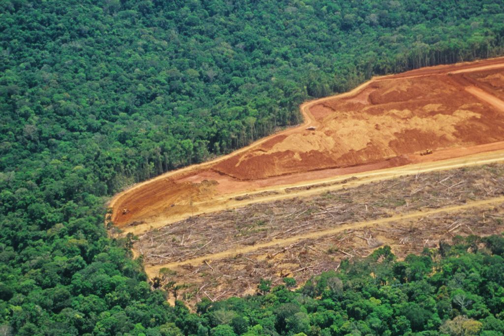 Amazon deforestation