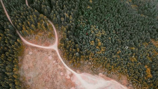 Brazil Urges EU to Postpone and Reassess ‘Unilateral’ Anti-Deforestation Law Over Fears It Will Affect Trade Relations