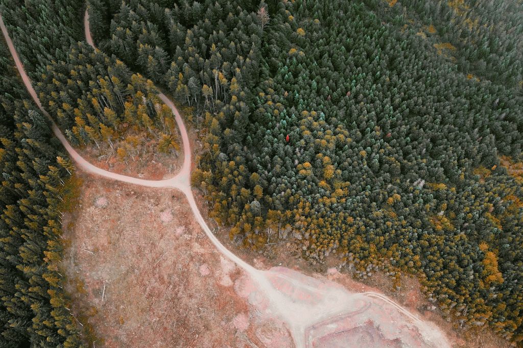 Brazil Urges EU to Postpone and Reassess ‘Unilateral’ Anti-Deforestation Law Over Fears It Will Affect Trade Relations