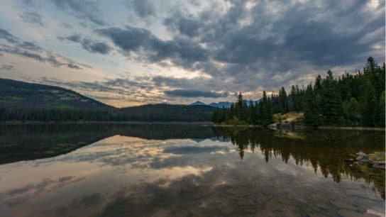 Water Shortage in Scotland: How the Famously Wet Country Became Water Scarce