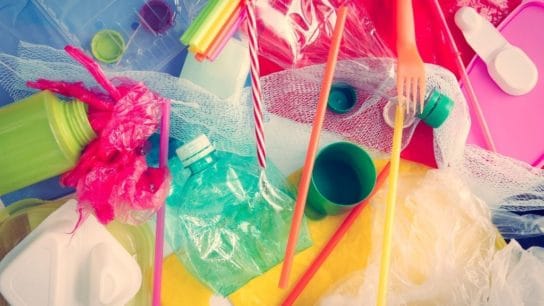 Product Obsolescence: How Businesses Promote and Perpetuate Plastic Pollution