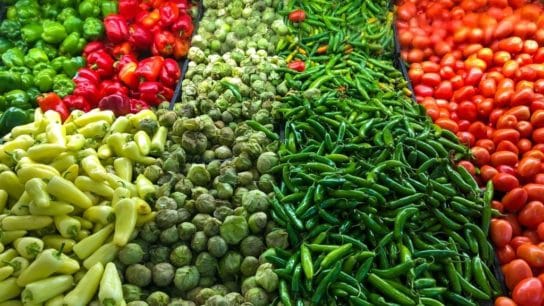 How Does Food Waste Affect the Environment?