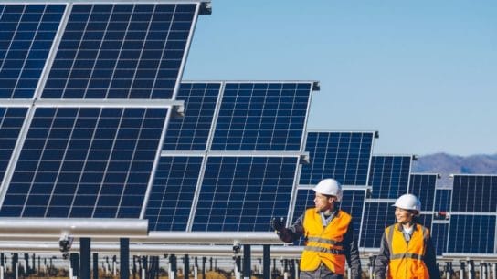 Can the Net Zero Strategy be the Driving Force for Global Employment?