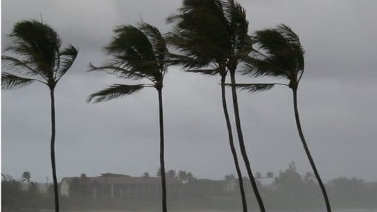 14 of the Worst Typhoons in Asia