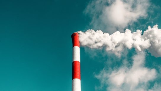 Op-Ed: The World Needs to Flatten the Carbon Curve Post COVID-19