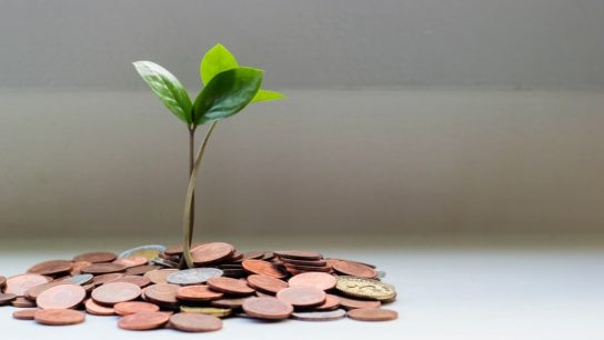 A Green Economy Post- COVID-19: Environmentalist’s Dream or Economic Imperative?