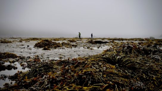 The Oceans Are Facing Dangers Beyond Sea Level Rise