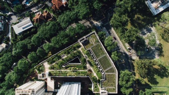 Paths To a Green and Smart Future For the World’s Cities