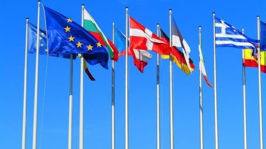 The EU Climate Law: Europe’s Man on the Moon Moment?