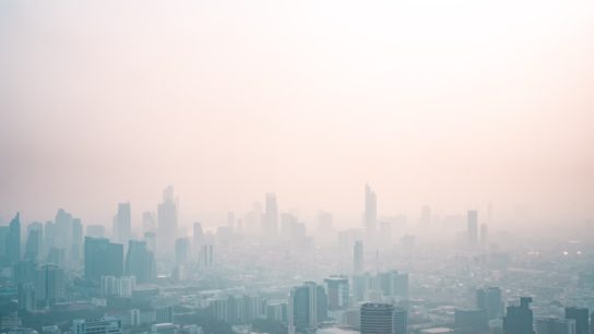 CO₂ Emissions Have Rebounded to Pre-Pandemic Levels