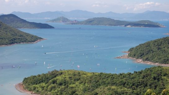 The Silent Plight of Illegal Logging in Hong Kong