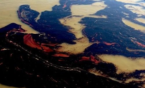 Do Environmental Crimes Violate Human Rights?