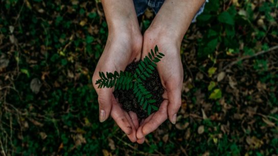 Sustainable Business: The Green and the ‘Greenwash’