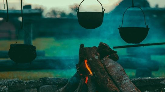 Biomass Fuels Could Stymie Economic Growth in Developing Countries