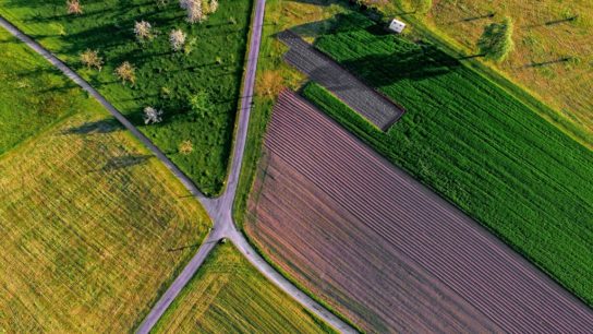 The Monsanto Effect: Poisoning Latin America