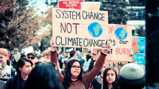 Climate Change Litigation: Holding States Accountable