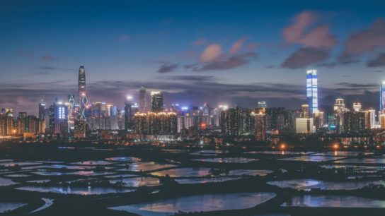 Shenzhen Skyscrapers Threaten Migratory Bird Populations in Hong Kong Wetland