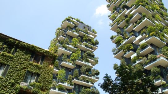 How Urban Green Spaces are Impacting on China’s Environmental and Public Health